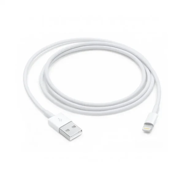 Cable Apple USB-A a Lightning 1 m